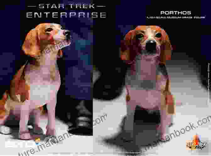 Porthos, Archer's Beagle Companion Star Trek: Enterprise The Ultimate Quiz