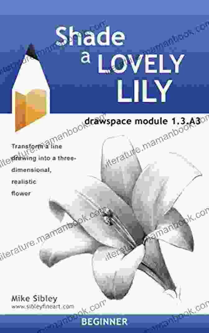 Shade Lovely Lily Drawspace Module A3 Featuring Delicate Floral Pattern Shade A Lovely Lily: Drawspace Module 1 3 A3