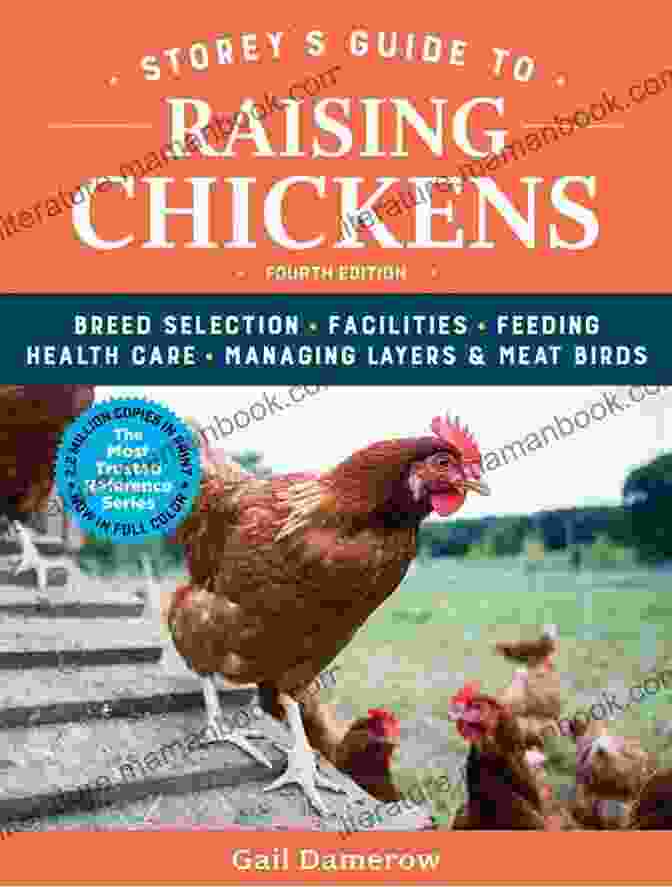 Storey's Guide To Raising Chickens, 4th Edition Storey S Guide To Raising Chickens 4th Edition: Breed Selection Facilities Feeding Health Care Managing Layers Meat Birds (Storey S Guide To Raising)