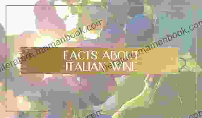 Wine Unbelievable Pictures And Facts About Italy