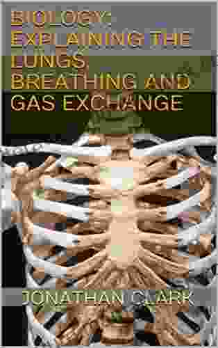 Biology: Explaining The Lungs Breathing And Gas Exchange