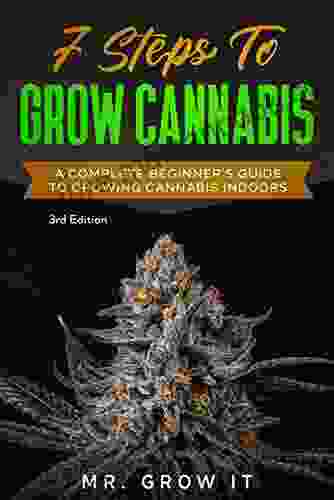 7 Steps To Grow Cannabis: A Complete Beginner S Guide To Growing Cannabis Indoors